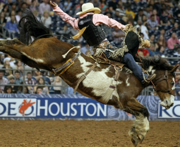 A cowboy on a horse bucking